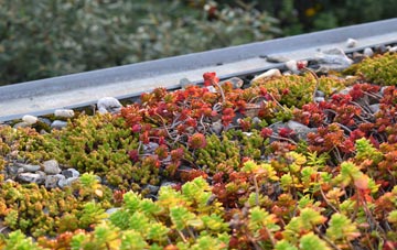 the cost of Potter Heigham green roof installation